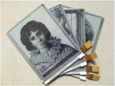 Un bon prix. Affichage d'encre E original de 6,0 pouces 600 × 800 SVGA avec 34 broches Connecteur pour le module de papier Kindle E en ligne