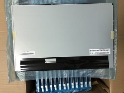 Un bon prix. Moniteur LCD haute résolution de 19 pouces avec 1440x900 pixels et panneau AUO de luminosité de 250cd en ligne